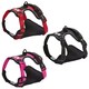 image 2 of Bunty Adventure Harness Pink | XL