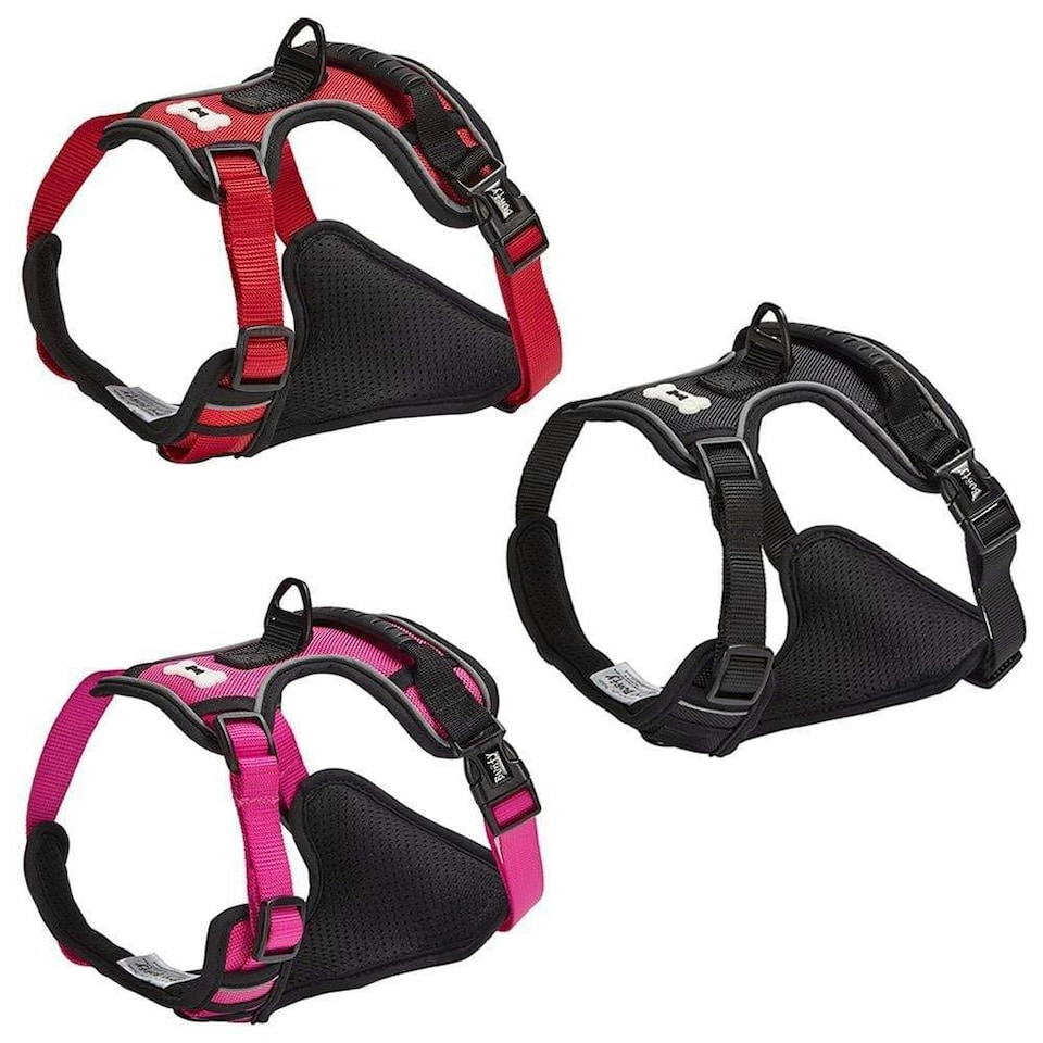 image 1 of Bunty Adventure Harness Pink | XL
