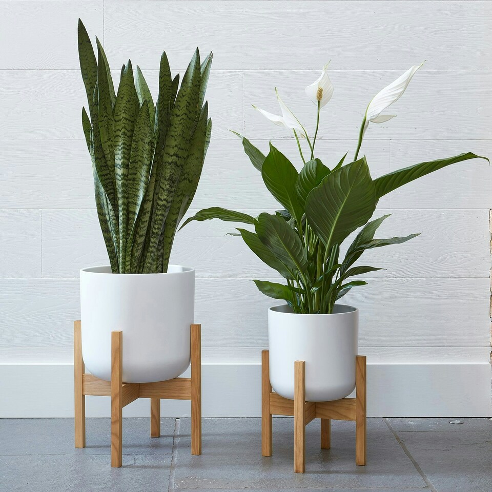 image 1 of Lisbon Planter White