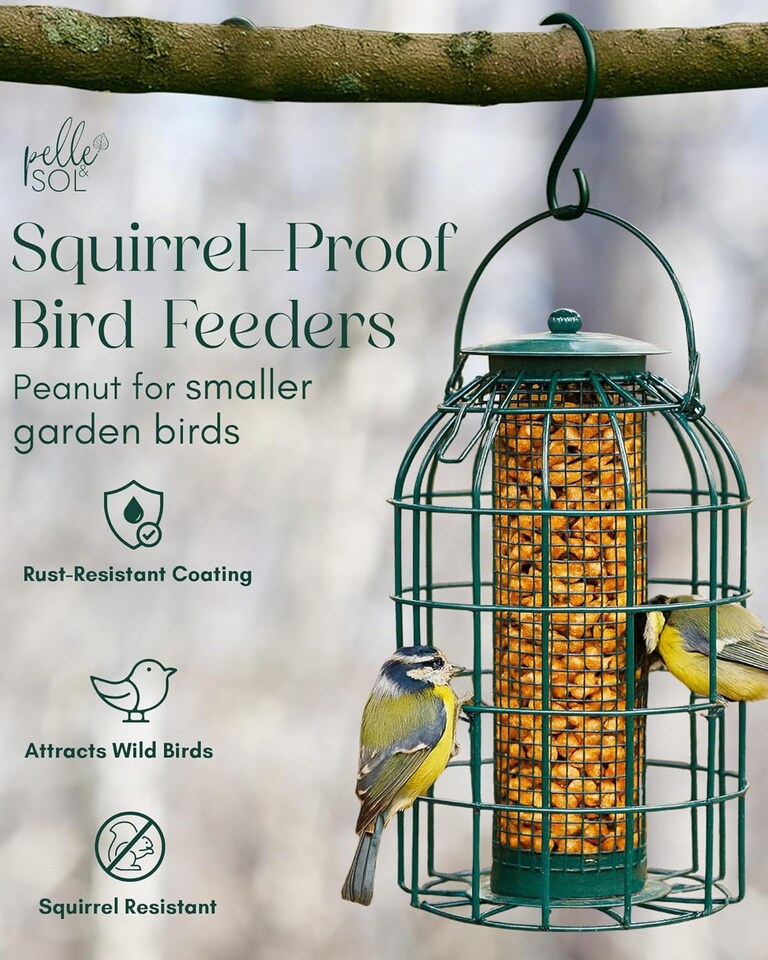 image 1 of Pelle & Sol Peanut Bird Feeder Squirrel Proof