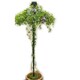 image 2 of Umbrella Trainer Plant Border Support - Single Stem Tuteur - Steel - L83.8 x W83.8 x H198.1 cm - Black