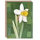 image 1 of Daffodil Spring Flower Bloom Green Stylised Him Her Birthday Art Card