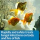 image 5 of API PIMAFIX Antifungal Freshwater and Saltwater Fish Remedy 237 ml Bottle