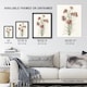 image 3 of Six Carnations Vintage Illustration Teyler Framed Wall Art Print 12X16"