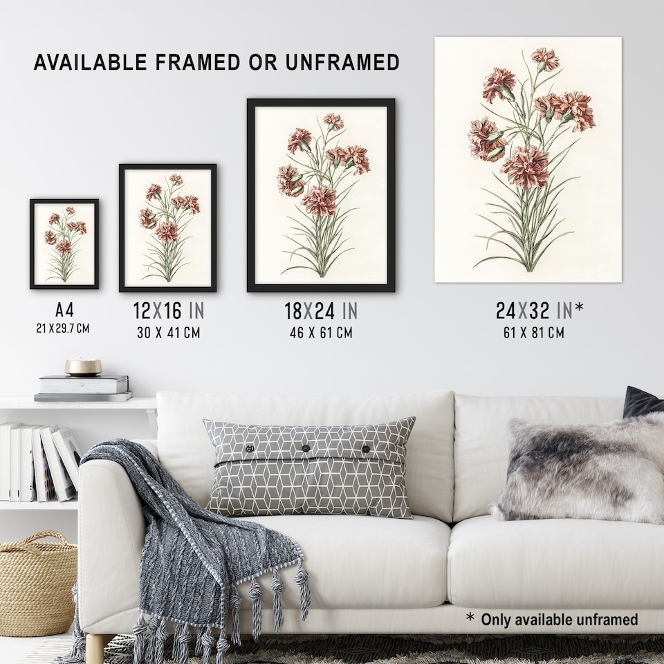 image 1 of Six Carnations Vintage Illustration Teyler Framed Wall Art Print 12X16"