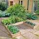 image 4 of COSTWAY Garden Bed Wooden Raised Garden Box Outdoor Planter Container for Herbs Flowers