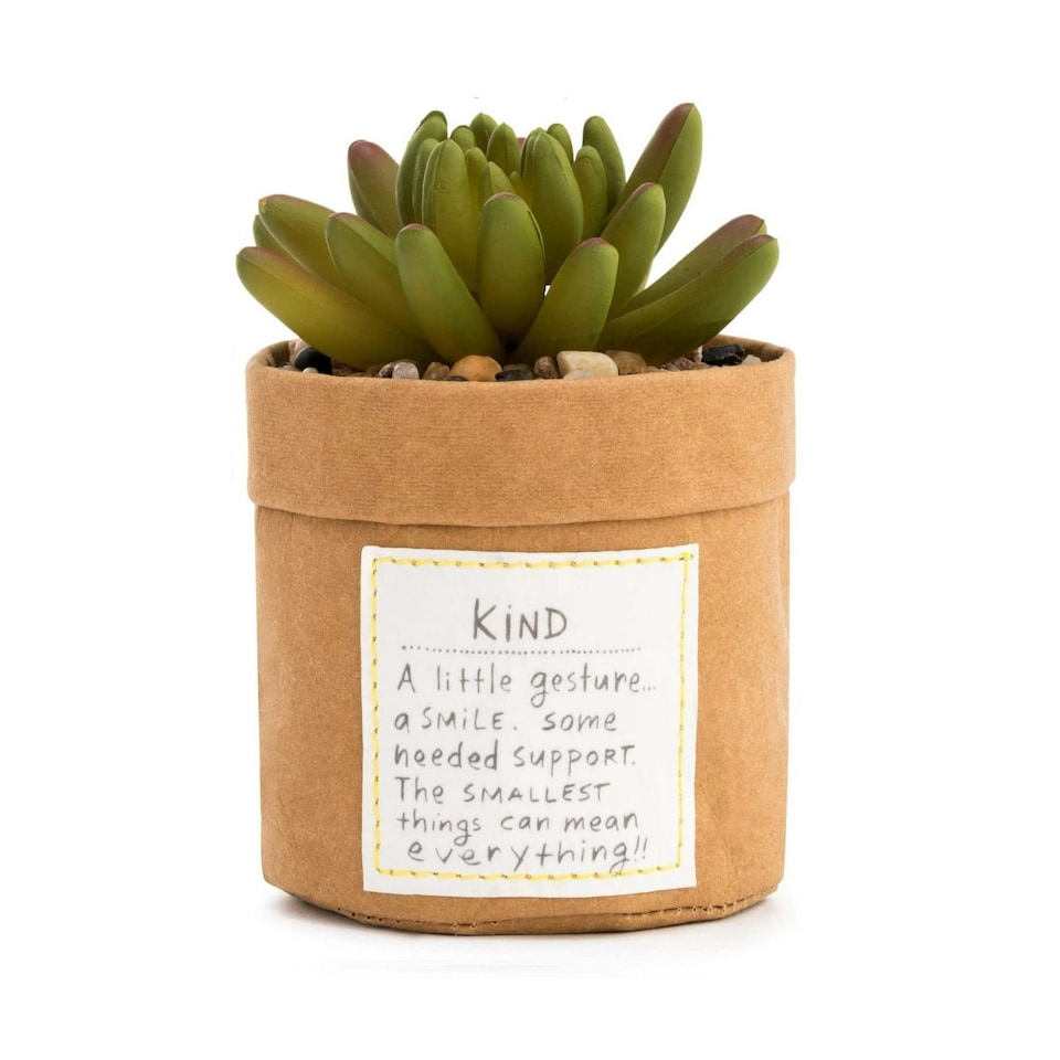 Demdaco Indoor Plant Kindness - Kind | Brown