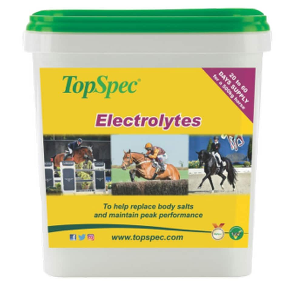 TopSpec Electrolytes - May Vary - 1.5 KG