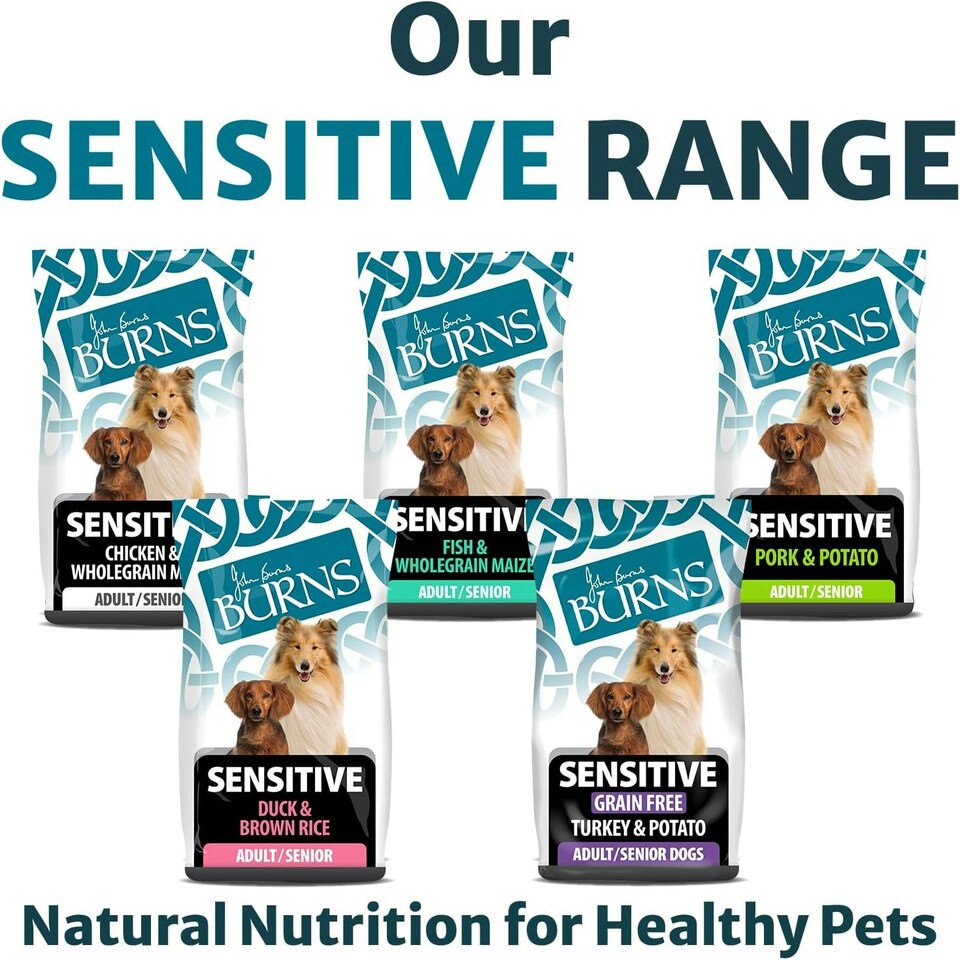 image 1 of Burns Pet Nutrition Complete Dry Hypoallergenic Dog Food For Sensitive Dogs, Turkey and Potato 6kg