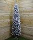 image 7 of 5.5ft (1.7m) Premier Snow Flocked Spruce Pine Slim Christmas Tree in Green