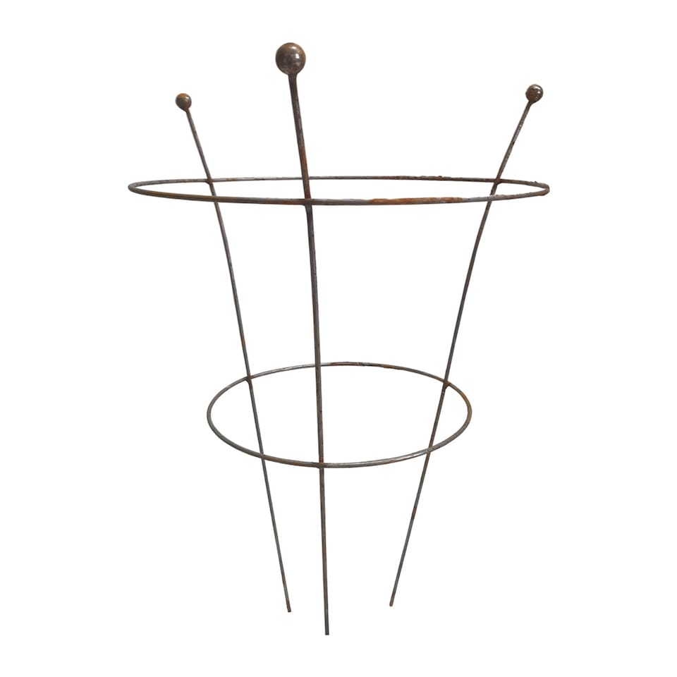 image 1 of Pack of 4 Tom Chambers Herbaceous Bare Rusted Steel Garden Plant Support Medium 54cm x 40cm