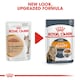 image 4 of ROYAL CANIN® Intense Beauty Care Adult Wet Cat Food N/A | Size: 12 x 85g
Texture: Gravy
