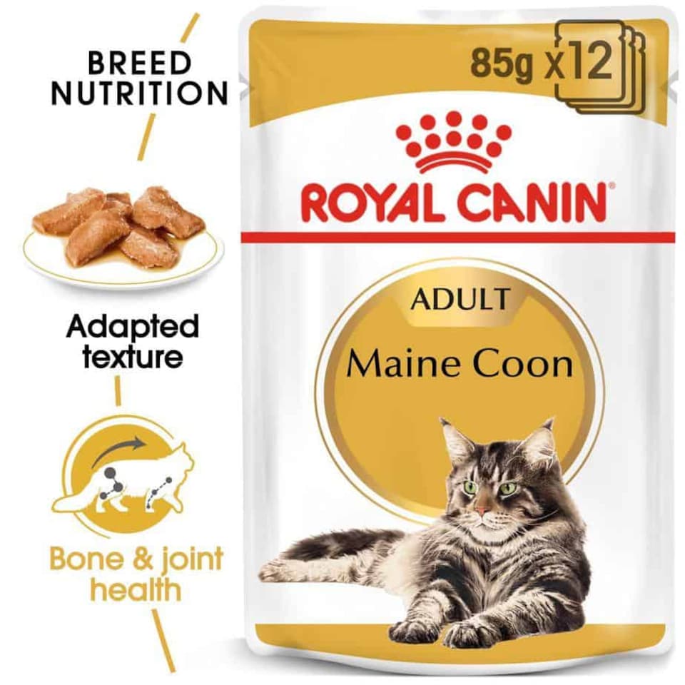image 1 of Royal Canin Maine Coon Adult Wet Cat Food in Gravy Pate - 48 x 85 g | Multi | 48 x 85g | 1