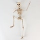 image 3 of Halloween Prop Movable Skeleton Hanging Decoration 50cm