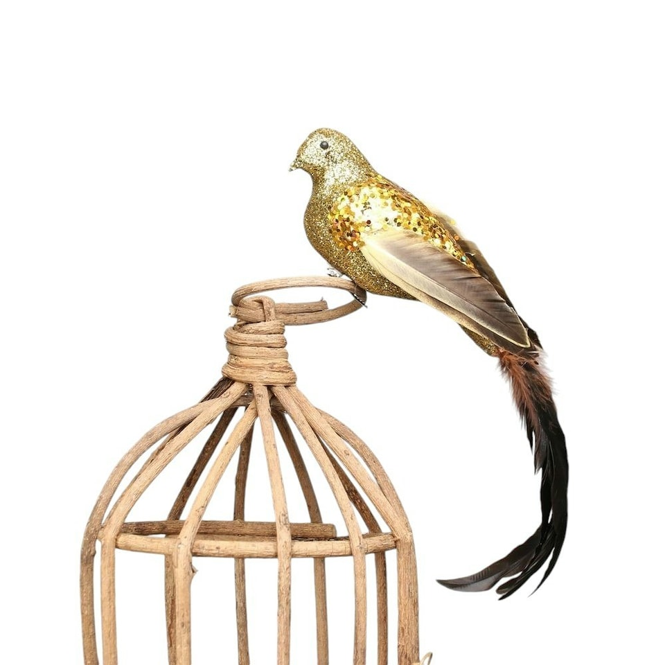 image 1 of Large Decorative Gold Paradise Bird With Clip - 35cm
