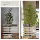 image 5 of Artificial Plant - bamboo grass, realistic look, low-maintenance | Green | green | 50 x 50 x 180 cm | 1