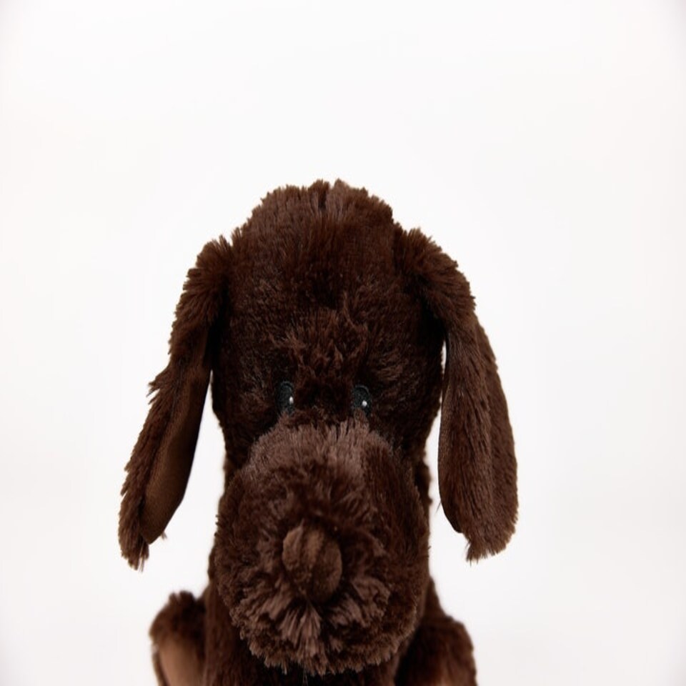 image 1 of Warmies Plush Chocolate Labrador Microwavable LARGE