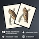 image 2 of Birds Of America Long Eared Owl Audubon Nature Framed Wall Art Print 12X16"