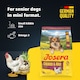 image 2 of Josera Mini Senior Chicken & Rice | Complete food for toy and small dogs | Gluten-free | Lower protein & fat | Anti-ageing | Salmon Oil Omega 3 | 3kg