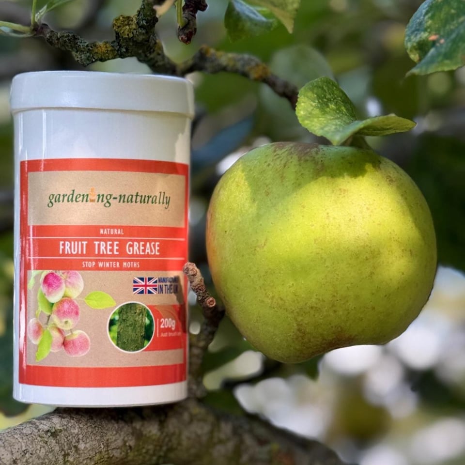 image 1 of Gardening Naturally Fruit Tree Grease for Winter Moth and Crawling Insects