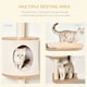 image 3 of PawHut Wall Mounted Cat Tree for Indoor Cats with Scratch Post Oak Beige
