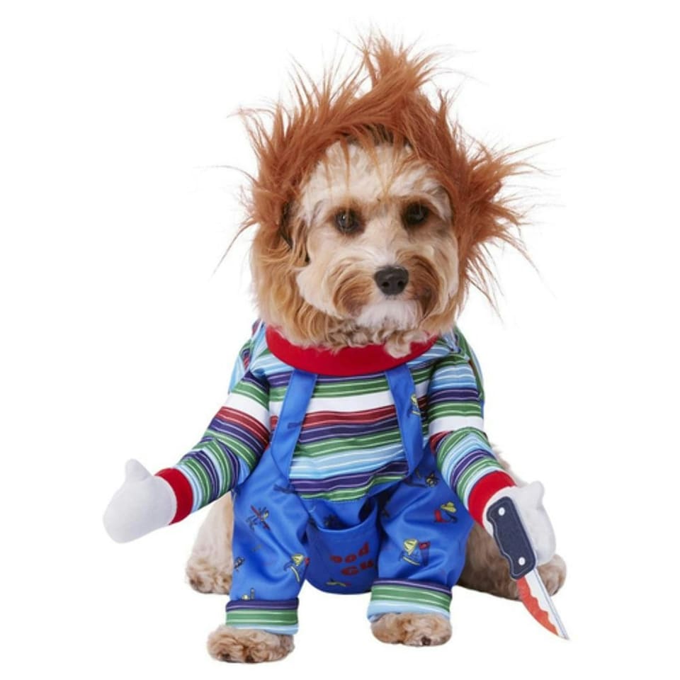 image 1 of Chucky Pet Costume Set - Multicoloured - L Multi | One Size