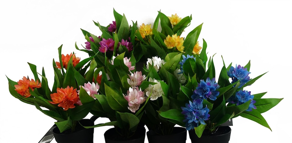 image 1 of 18cm Artificial Freesia Plant Dark Pink Flowering
