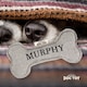 image 2 of History & Heraldry Pre-Personalised Squeaky Bone Dog Toy - Murphy