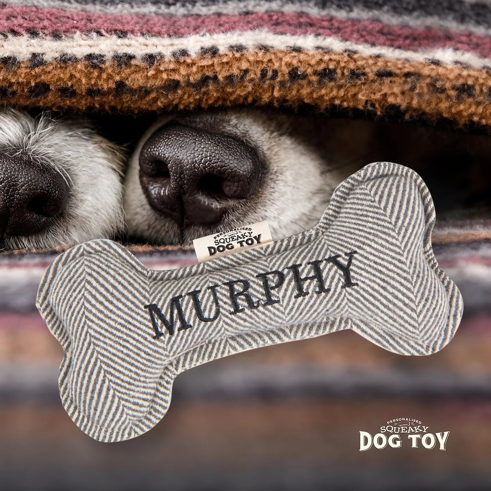 image 1 of History & Heraldry Pre-Personalised Squeaky Bone Dog Toy - Murphy