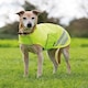 image 1 of Shires Equiflector® Dog Coat Yellow | Colour: Yellow
Size: XXX-Small | XS