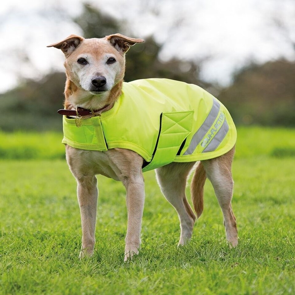 image 1 of Shires Equiflector® Dog Coat Yellow | Colour: Yellow
Size: XXX-Small | XS