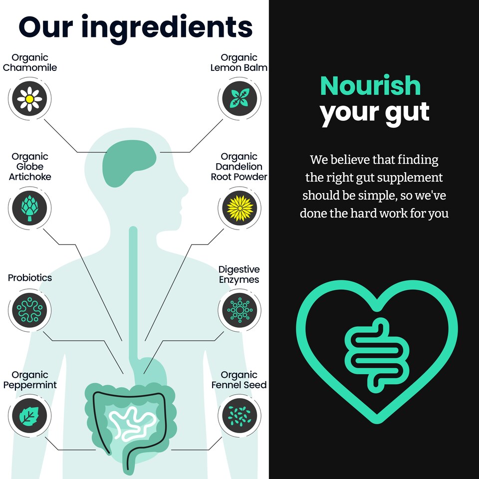 image 1 of 3 in 1 Gut Health - 12 Billion Probiotics, 5 Digestive Enzymes, 6 Botanicals