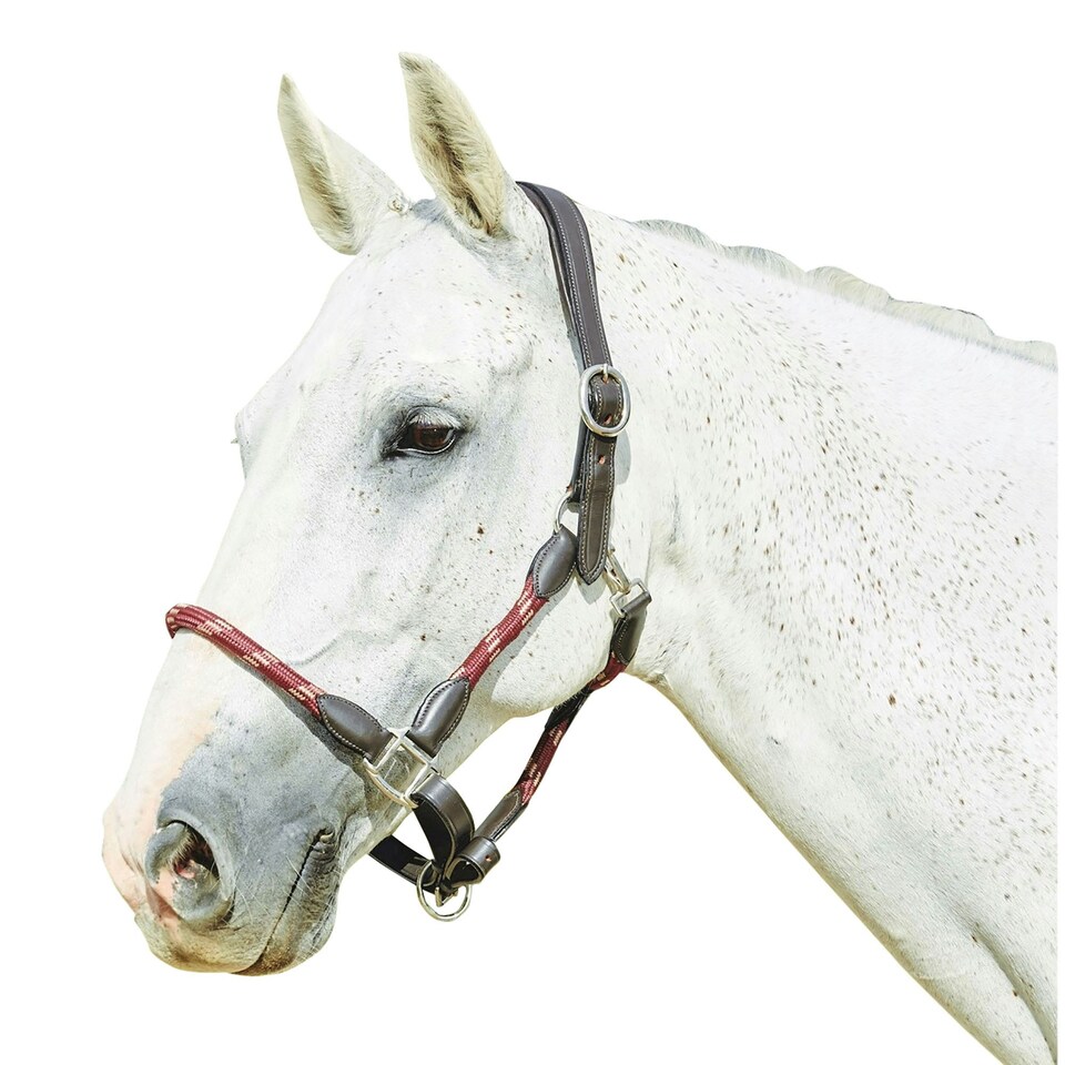 image 1 of Kincade Leather Rope Headcollar - Burgundy/Brown - Pony