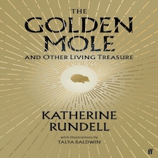 Golden Mole