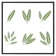 image 1 of Herbs (Picture Frame) Black | XS