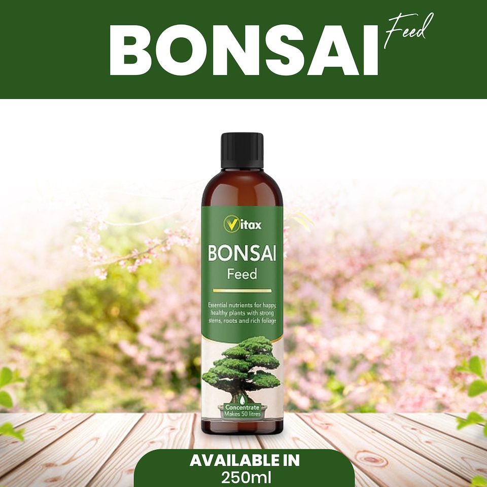 image 1 of Vitax Bonsai Liquid Feed 250ml Concentrated Seaweed-Enriched Nutrient Plant Feed
