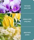 image 3 of Heart and Home Simply Spa Essential Oil Blend  - 10ml Concentrated Oil - For Use With Ultrasonic Diffuser | Brown