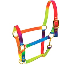 Roma Rainbow Headcollar - Rainbow - Pony