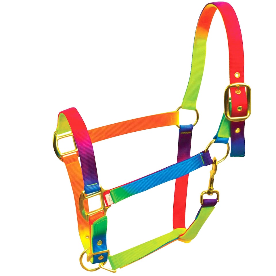 image 1 of Roma Rainbow Headcollar - Rainbow - Pony