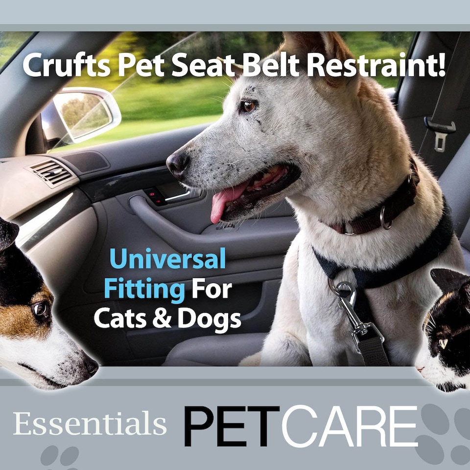 image 1 of Crufts Universal Pet Seat Belt Travel Restraint - 3 Buckle Types