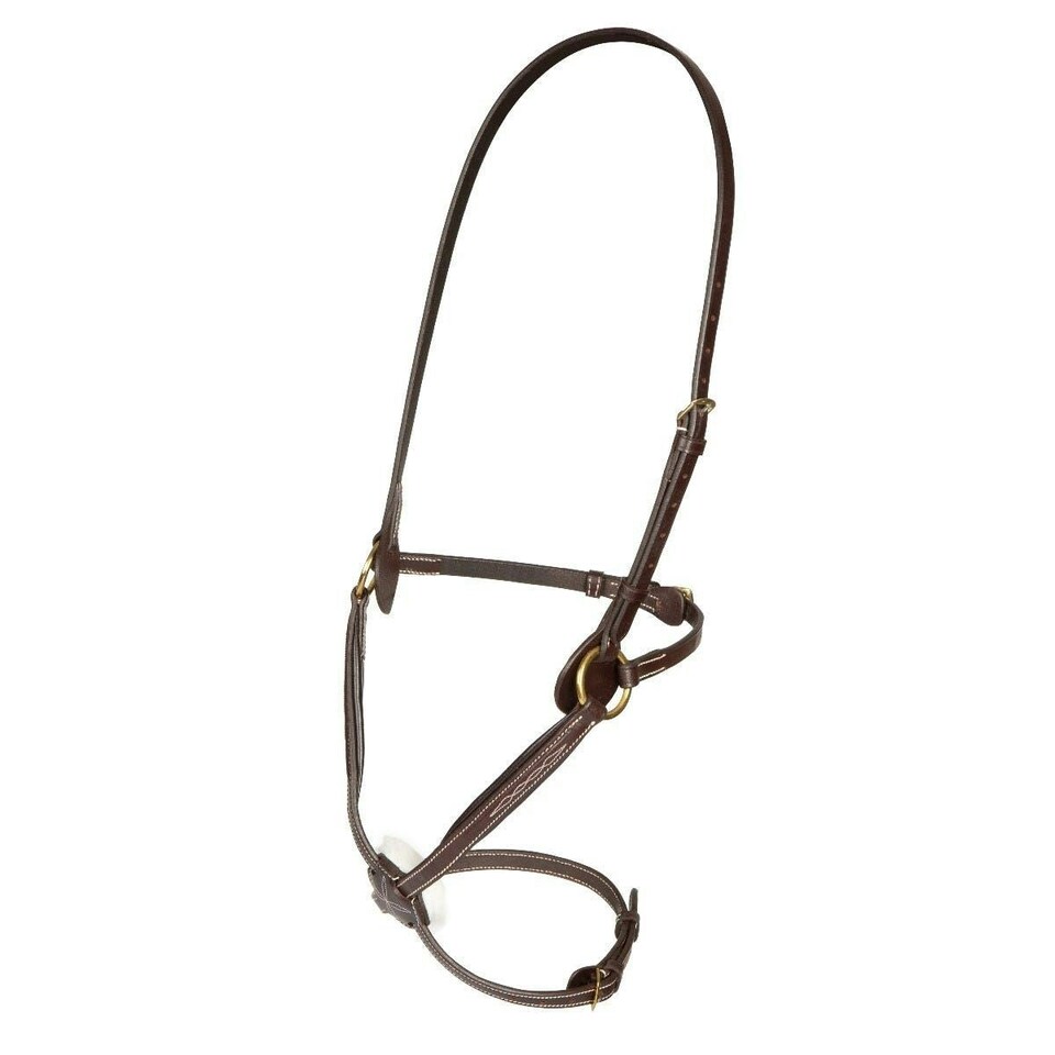 Shires Salisbury Brackley Noseband Black | Size: Pony
Colour: Black