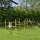image 7 of PawHut 4 Pieces Dog Agility Training Equipment with Carrying Bag, Yellow