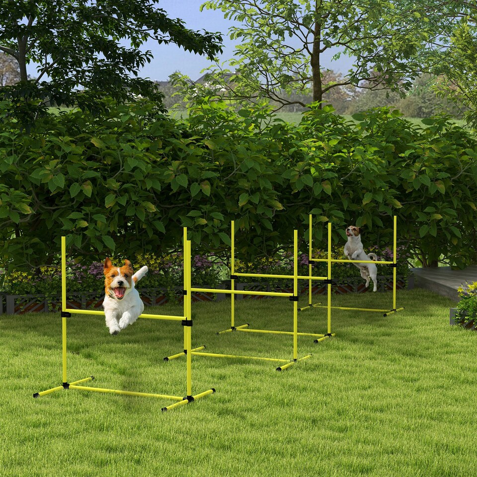 image 1 of PawHut 4 Pieces Dog Agility Training Equipment with Carrying Bag, Yellow