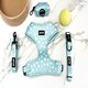 image 5 of Dotty About You - Harness - Small