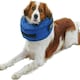 image 5 of Buster Inflatable Collar XL