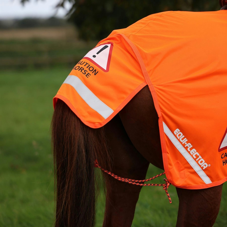 image 1 of Shires Equi-Flector® Mesh Exercise Sheet Yellow | Size: 51 Inch
Colour: Yellow