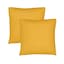 Canvas Sunflower
