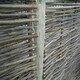 image 1 of Wooden Round Fence Post 2.43m (8ft) for Fencing, Screening and Hurdles