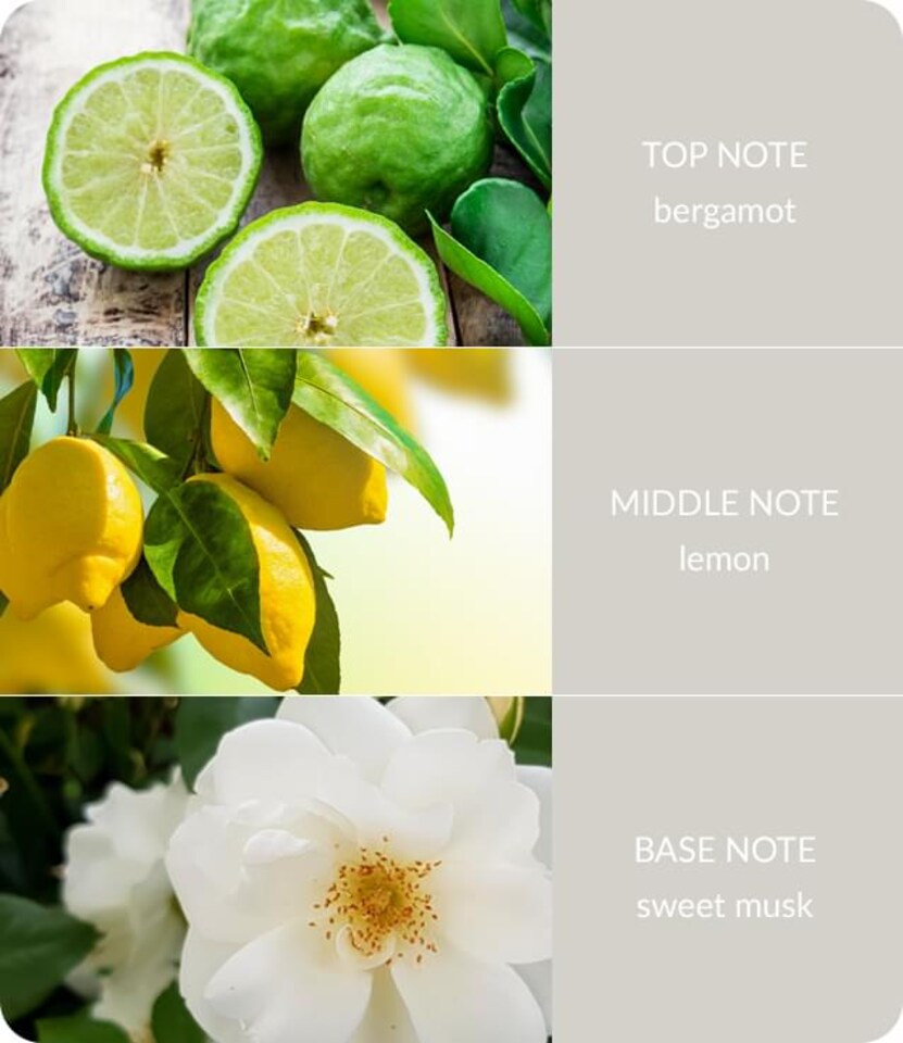 image 1 of Twin Wick Ellipse Soy Wax Candle - Guardian Angel