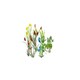 image 3 of Gaugemaster Scenics Waterside Flowers (17) (GM176)